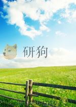 中国国家标准汇编  115  GB9543-9598   1993年4月第1版  PDF电子版封面    中国标准出版社总编室编 