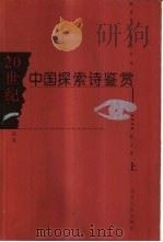 20世纪中国探索诗鉴赏（1999 PDF版）