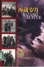 西藏岁月   1999  PDF电子版封面  7800692884  张永发主编 