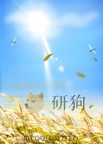 大学物理 第二册 电磁学 近代物理学（ PDF版）