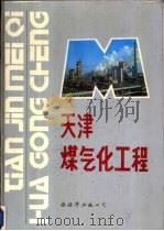 天津煤气化工程   1990  PDF电子版封面  7805610002  天津市重点工程指挥部编 
