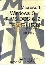 Microsoft Windows 3.1和MS-DOS6.2高级实用教程   1995  PDF电子版封面  7505328980  孟庆昌，张海燕等编 