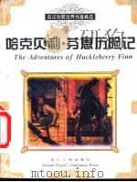 哈克贝利·芬恩历险记   1996  PDF电子版封面  7220032439  （美）马克·吐温（Mark Twain）著；何晓琪译 