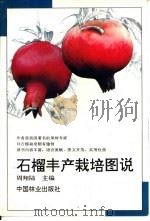 石榴丰产栽培图说   1995  PDF电子版封面  7503814896  周翔陆主编 