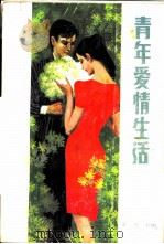 青年爱情生活   1986  PDF电子版封面  7221·93  金马主编 