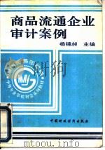 商品流通企业审计案例   1994  PDF电子版封面  7500524897  杨锦昶主编 