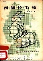 西德长毛兔（1983 PDF版）