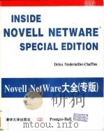 Movell  NetWare 大全（专版）   1994年07月第1版  PDF电子版封面     