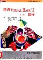 精通Visual Basic 3编程 第2版（1994 PDF版）