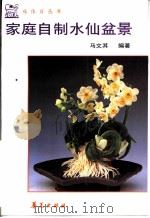 家庭自制水仙盆景   1996  PDF电子版封面  7508010094  马文其编著 