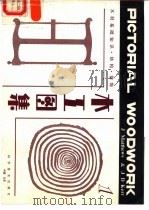 木工图集  1  木材基础知识、结构、涂饰   1987  PDF电子版封面  15051·1196  （英）马修斯（Matthews，J.）编著；（英）凯尔（Ke 