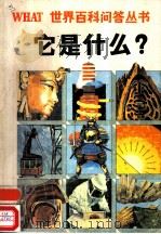 它是什么?   1989  PDF电子版封面  7806561086  （英）莱斯利·弗思主编；张叔宁，杨志龙译 