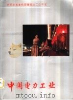 中国电力工业   1996  PDF电子版封面  7801251466  程忠智，孙嘉平主编；魏光耀等撰稿 