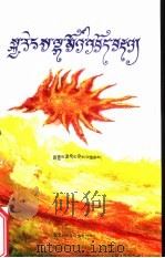 黎明天女的召唤：藏文   1998  PDF电子版封面  7105028971  拉加才让著 