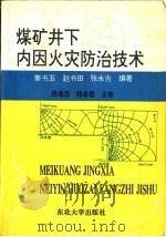 煤矿井下内因火灾防治技术（1993 PDF版）