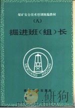 掘进班  组  长   1995  PDF电子版封面  7502011196  陈炳华编写 