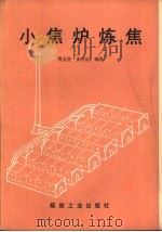 小焦炉炼焦   1989  PDF电子版封面  7502002308  曹玉登，史守法编著 