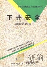 下井安全   1993  PDF电子版封面  7537707294  孟林华，贾振魁编 