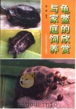 龟鳖的欣赏与家庭饲养（1996 PDF版）