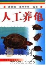 人工养龟（1999 PDF版）