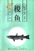 梭鱼   1997  PDF电子版封面  7502742611  李明德，王秀玲等著 