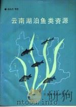 云南湖泊鱼类资源（1990 PDF版）