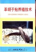 革胡子鲇养殖技术   1994  PDF电子版封面  7800228568  沈建忠编著（华中农业大学水产学院） 