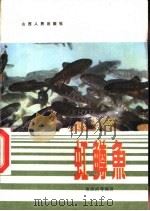 虹鳟鱼（1981 PDF版）