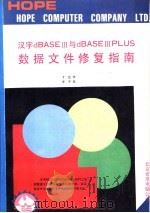 汉字dBASE Ⅲ/dBASE Ⅲ Plus数据文件修复指南   1993  PDF电子版封面  7507708217  于达编写 