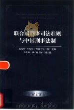 联合国刑事司法准则与中国刑事法律（1998 PDF版）