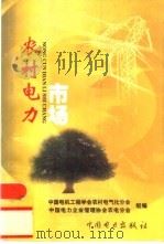 农村电力市场   1999  PDF电子版封面  7508300319  王广庆，蒋连海主编 