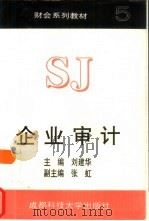 企业审计  5   1997年06月第1版  PDF电子版封面    刘建华  张虹 