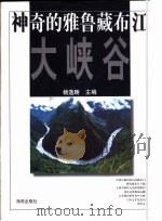 神奇的雅鲁藏布江大峡谷（1997 PDF版）