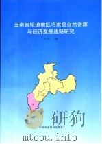 云南省昭通地区巧家县自然资源与经济发展战略研究（1998 PDF版）