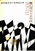 魔幻现实主义小说   1988  PDF电子版封面  7538701133  吴亮等编 