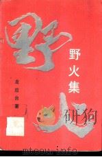 野火集   1988.11  PDF电子版封面  7540403667  龙应台著 