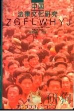 中国法律文化研究   1993  PDF电子版封面  7215023710  陈晓枫主编 