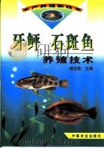 牙鲆  石斑鱼养殖技术   1999  PDF电子版封面  7109059774  谢忠明主编 