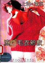 上海·东京流行毛衣新款   1990  PDF电子版封面  780513622X  李黎明编著 