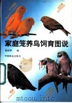 家庭笼养鸟饲育图说   1995  PDF电子版封面  750381344X  杨廷梓编 
