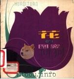 花的图案   1980  PDF电子版封面  8118·638  杨守年编绘 