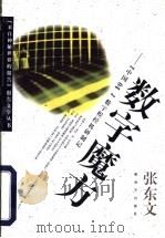 数字魔方  “中国04”数字程控机研制记   1997  PDF电子版封面  7506534053  张东文著 