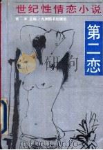 第二恋  世纪性情恋小说   1994  PDF电子版封面  7801140273  青羊主编 