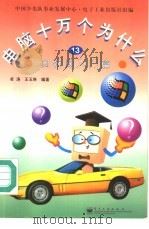 电脑十万个为什么  13  因特网入门篇   1998  PDF电子版封面  7505346733  凌涛，王玉琳编著 