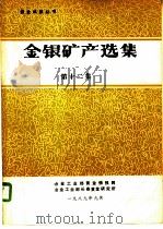 金银矿产选集  第12集（1989 PDF版）