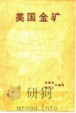 美国金矿   1989  PDF电子版封面  7502201998  徐增亮等编译 