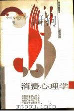 消费心理学   1989  PDF电子版封面  7226003465  秦建健编著 