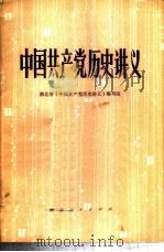 中国共产党历史讲义   1980  PDF电子版封面  11106·132  湖北省《中国共产党历史讲义》编写组著 