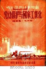 劳动保护与国家工业化   1956  PDF电子版封面    赖若愚，毛齐华著 