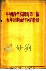 中国青年为实现第一个五年计划而斗争的任务  1955年9月20日中国新民主主义青年团建设积极分子大会的报告   1955  PDF电子版封面    胡耀邦著 